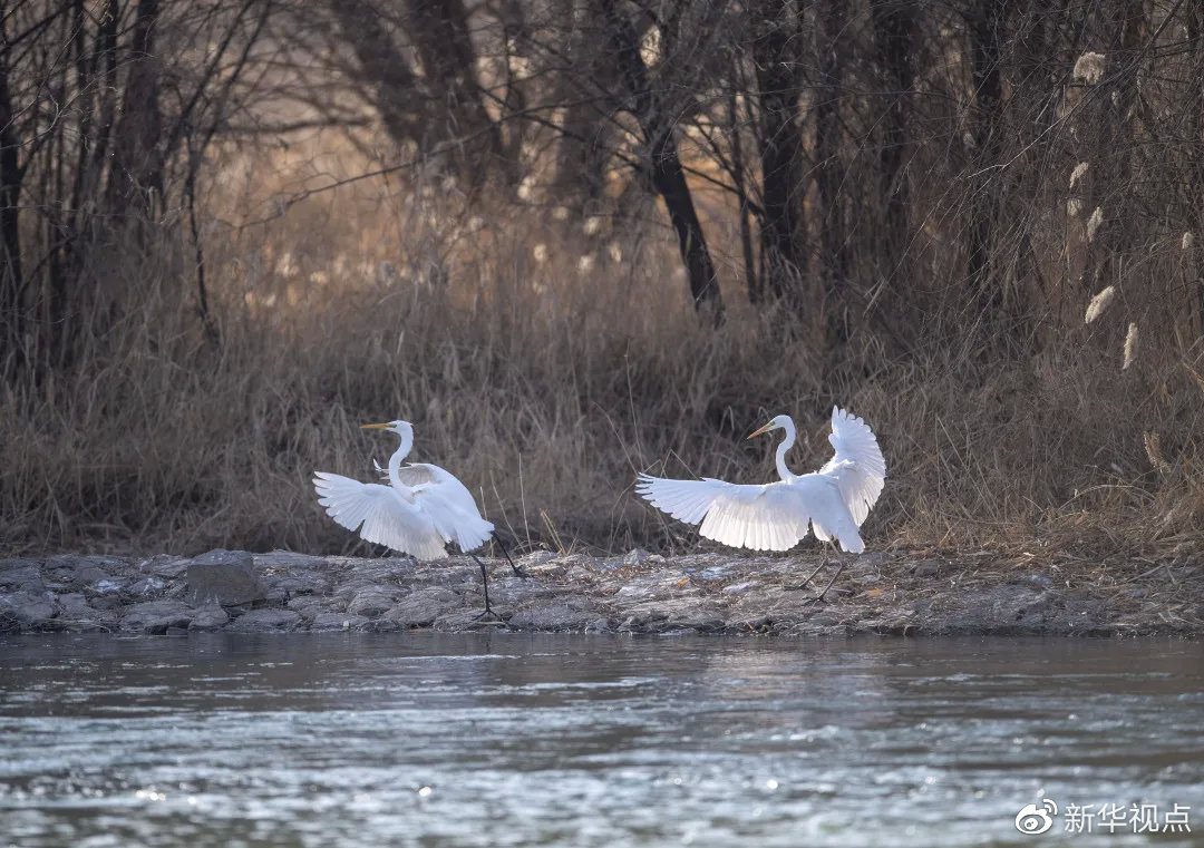 �����ڷں�ʪ�ع�԰����Ϸ&nbsp;�»�����������