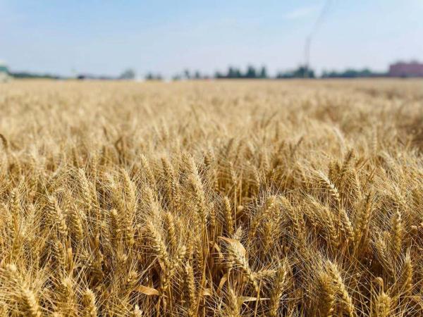 �л��ִ�ũҵMAPũ����С�� ��������